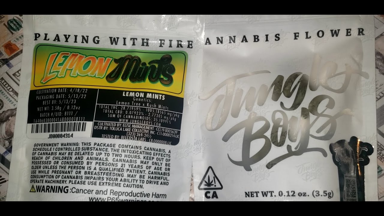Jungle Boys Lemon Mints Strain Review