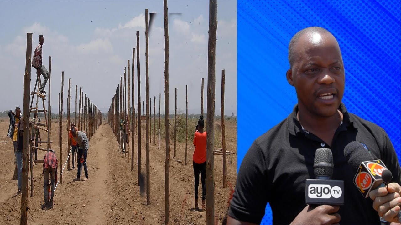 KIJANA WA KITANZANIA AFUNGUA SHAMBA KUBWA, UWEKEZAJI WAKE BILIONI 50 KULIMA VANILA