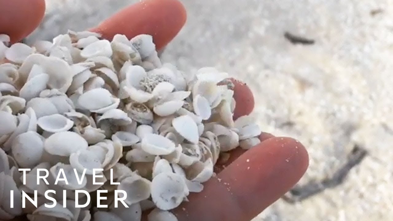 Australian Beach Is Covered Entirely With Tiny Shells