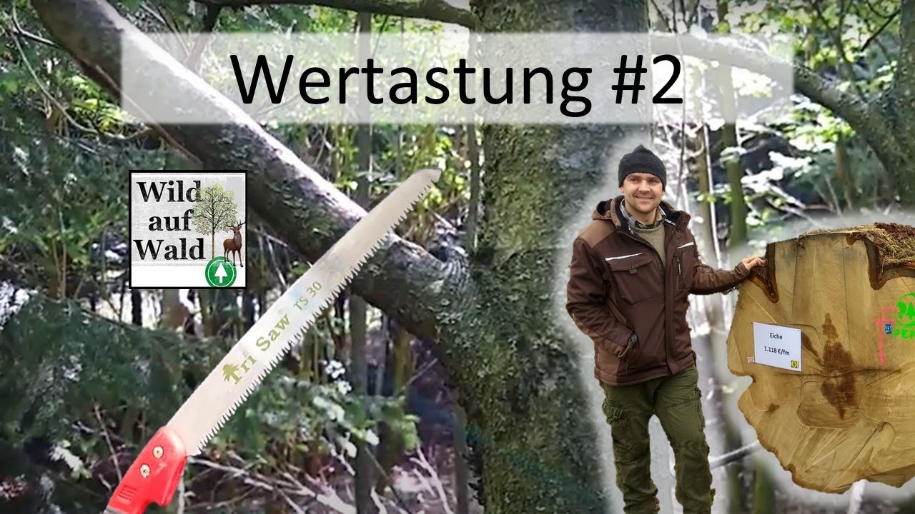 🌲Die Wertastung #2: Astung und Bestandesführung