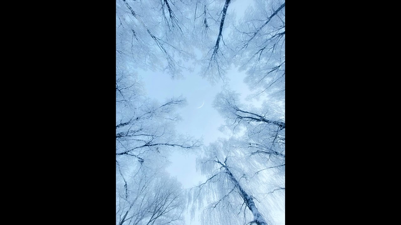 Ukradł Ciebie los pijany