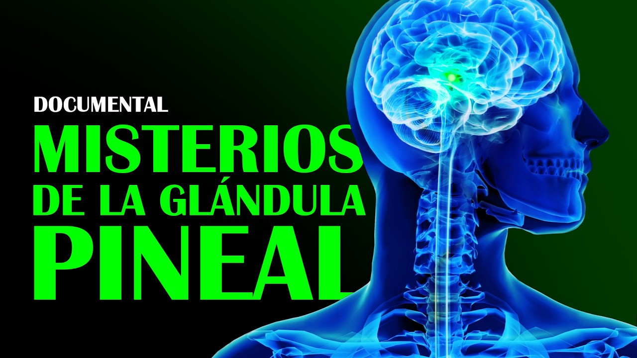 DOCUMENTAL: Misterios de la Gl&aacute;ndula Pineal y su Poder Escondido Seg&uacute;n la Ciencia