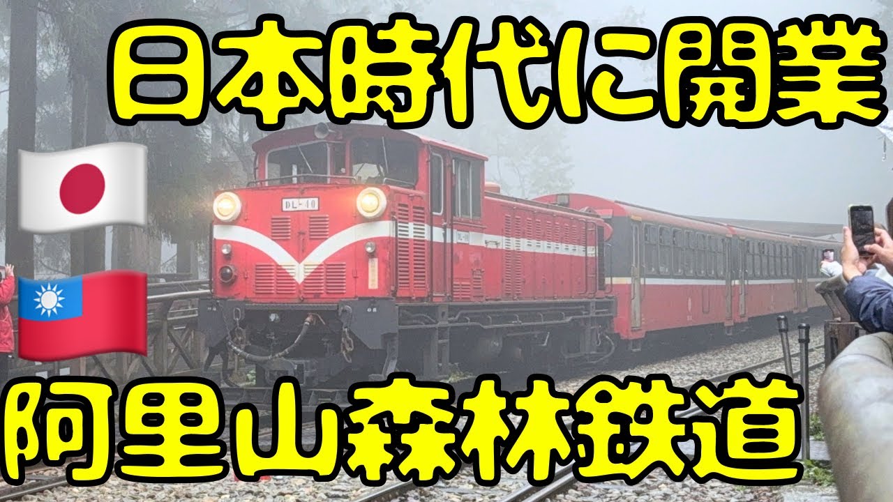 日本🇯🇵統治時代に完成した台湾🇹🇼の登山鉄道が楽しすぎました。【阿里山森林鉄道】