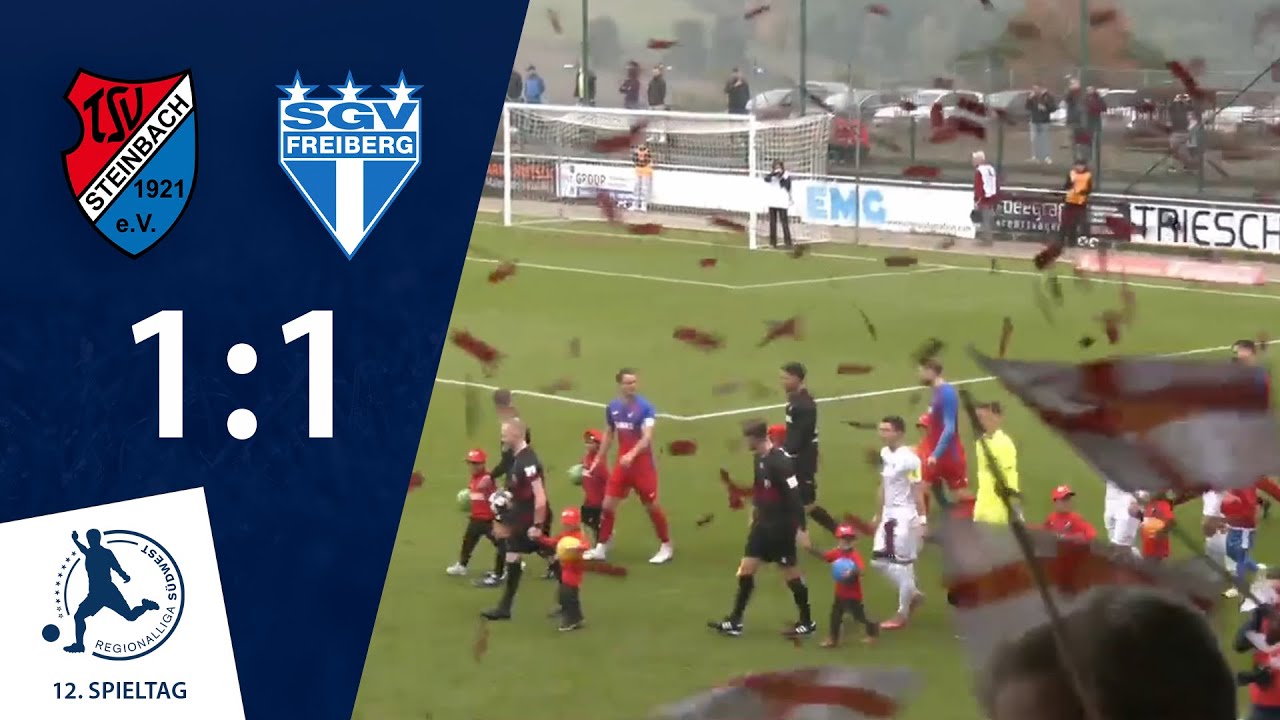 Punktgewinn in Unterzahl | TSV Steinbach Haiger - SGV Freiberg | 12. Spieltag RLSW