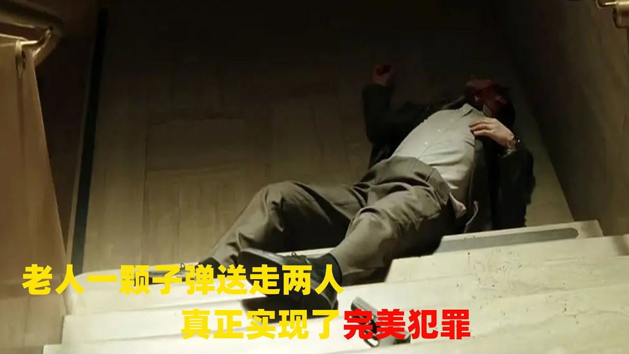 老头为了报复出轨的妻子，策划了一场近乎完美的犯罪，《破绽》