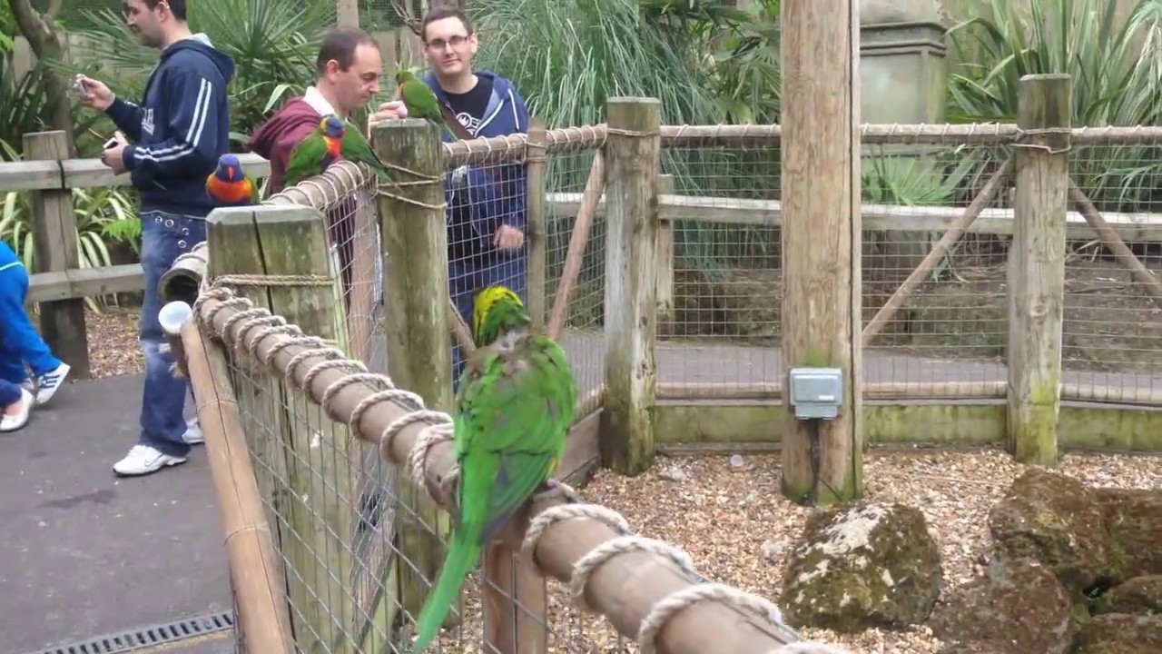 2014 trip to London & Chessington World of Adventures