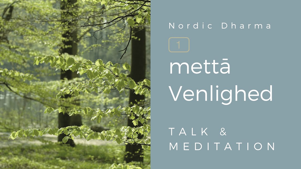 Talk & guidet meditation. Metta (Loving-kindness). 41 min.