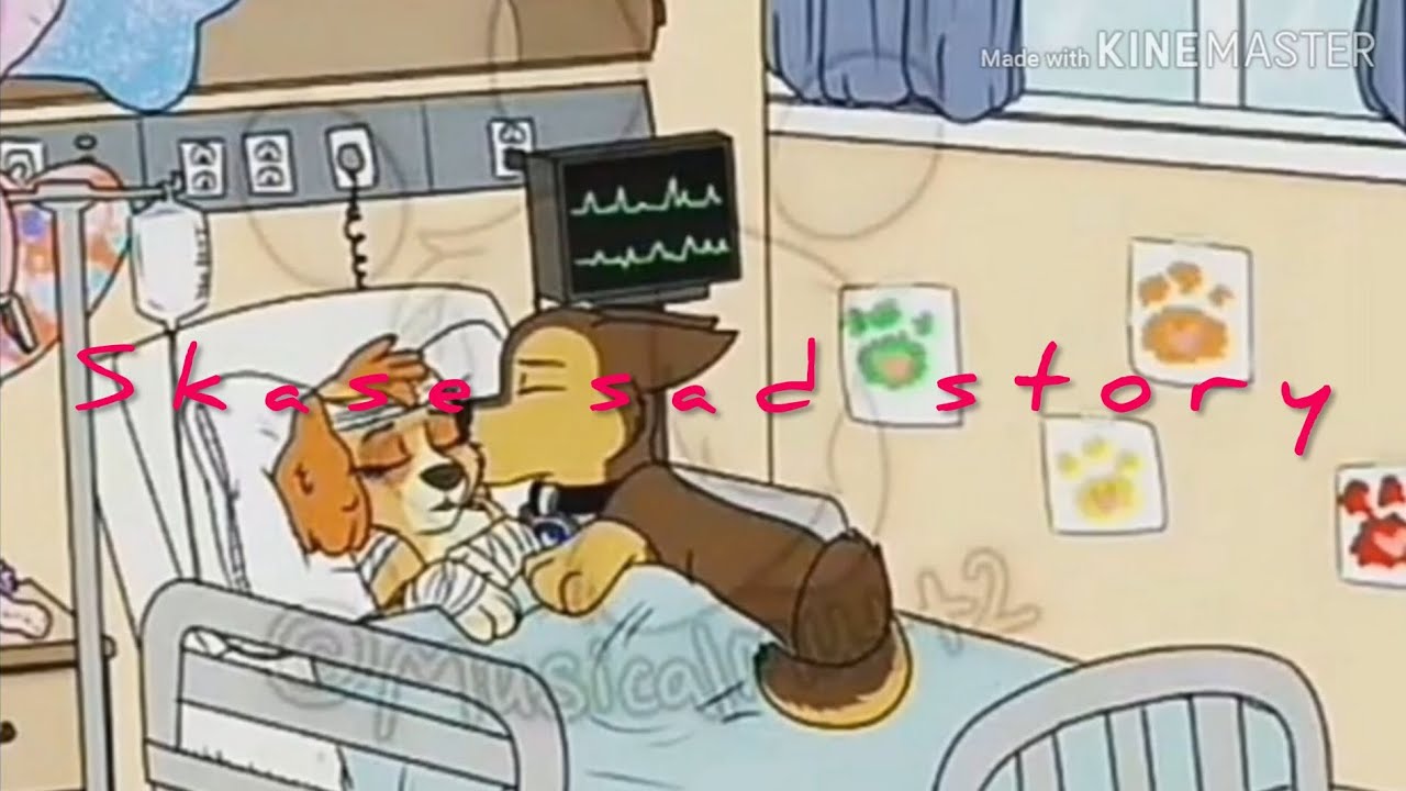 Chase X Skye sad story (So sad) you will cry.