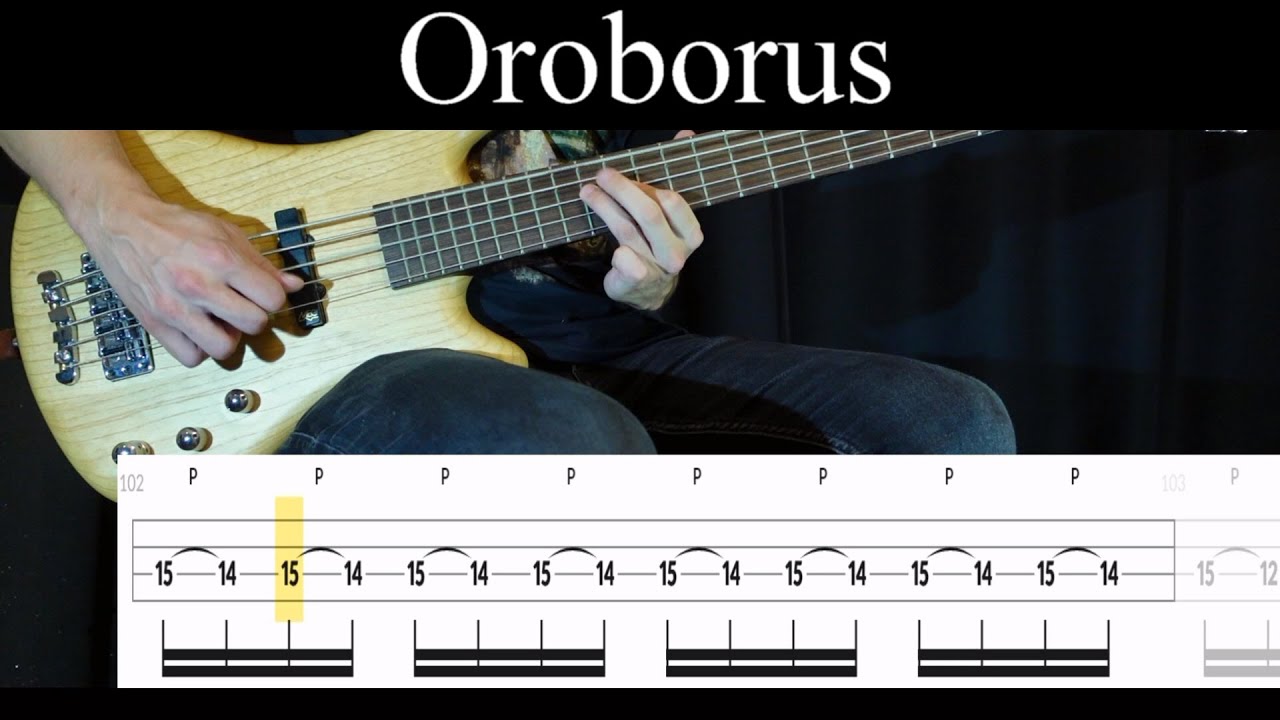 Oroborus (Gojira) - Bass Cover (With Tabs) by Leo Düzey