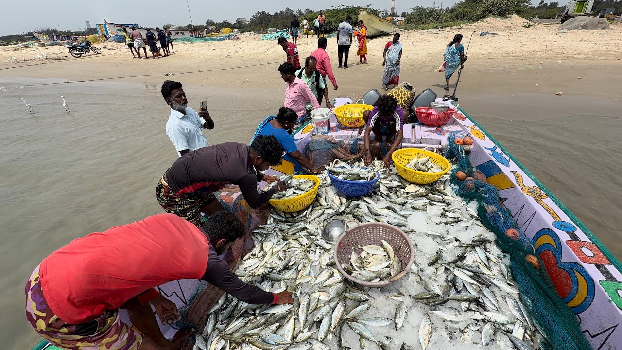 முண்டகண் பாறை இன்னைக்கு 1 டன்க்கு மேல இருக்கும் விலை கொஞ்சம் டாப் தான் 