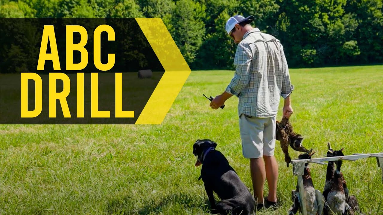ABC Drill