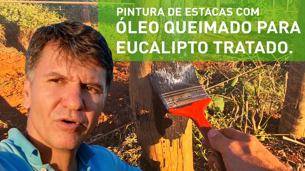 COLCHETE E PINTURA  COM &Oacute;LEO QUEIMADO - MINI PROJETO -  GIRO 40 ANIMAIS EM 3OOOM&sup2;.