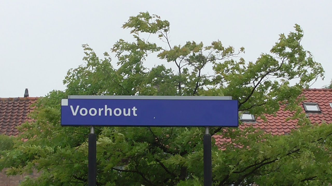 (Treinen op) Trains at Voorhout 30/5/16