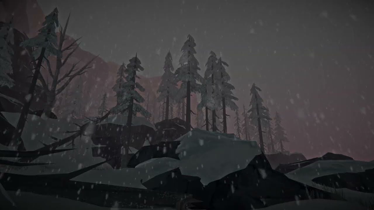 Cold Starry Night in a Deep Forest Snowstorm