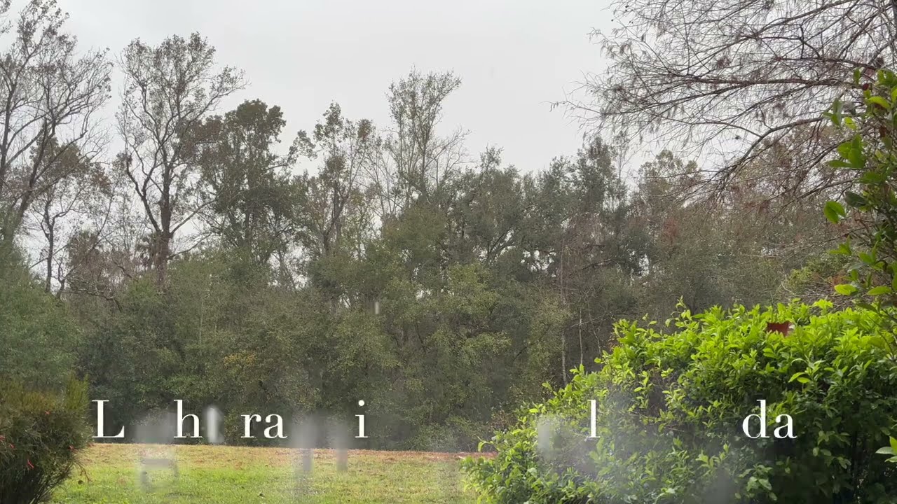 Light Rain in Central Florida (Real rain, no AI, no music)