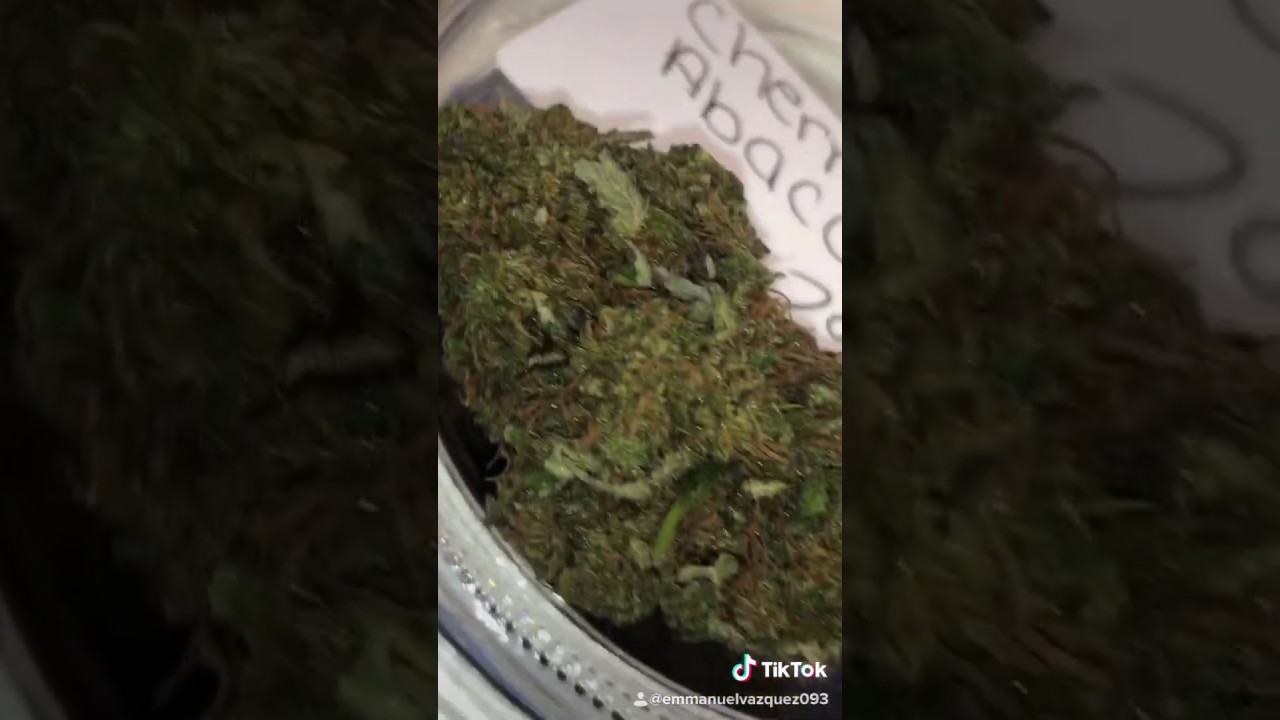 6 Strains of top shelf CBD Flower