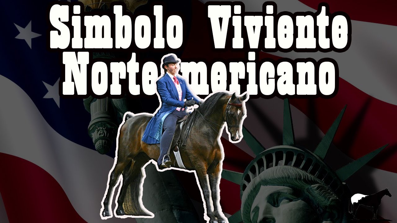 El Morgan (Raza De Caballos Orgullo De USA) 🐴-Del Cerro Soy
