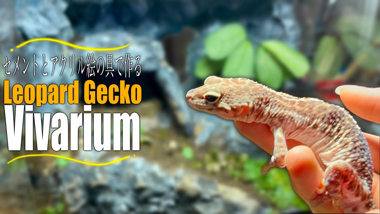【レオパビバリウム】奇形のレオパの為に岩山のおうちを作りました～Leopard Gecko Vivarium～
