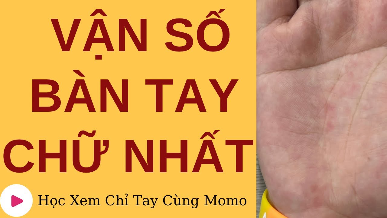Vận Số Người Có Bàn Tay Chữ Nhất Có Gì Đặc Biệt|Học Xem Chỉ Tay Cùng Momo #8
