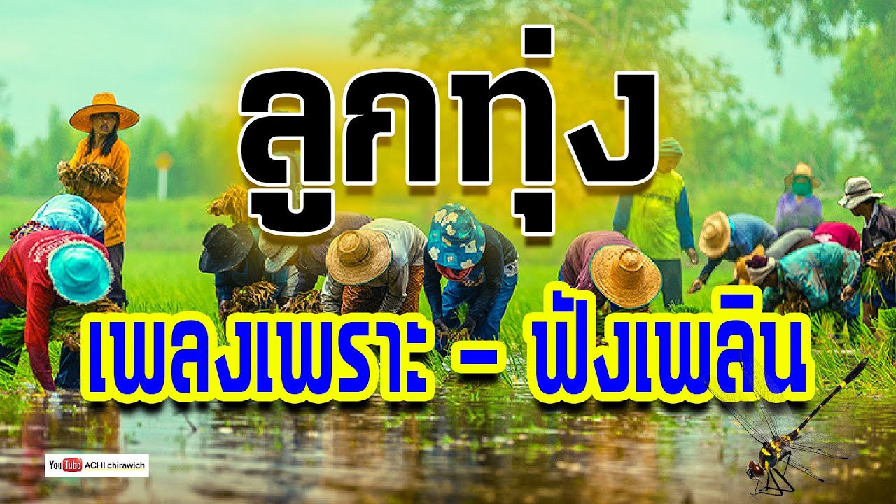 ลูกทุ่ง เพลงเพราะ  - ฟังเพลิน  / เพลงดัง ฟังดี #คัดพิเศษ