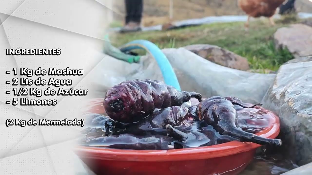 MERMELADA DE MASHUA: Alimentos ancestrales, vidas saludables.