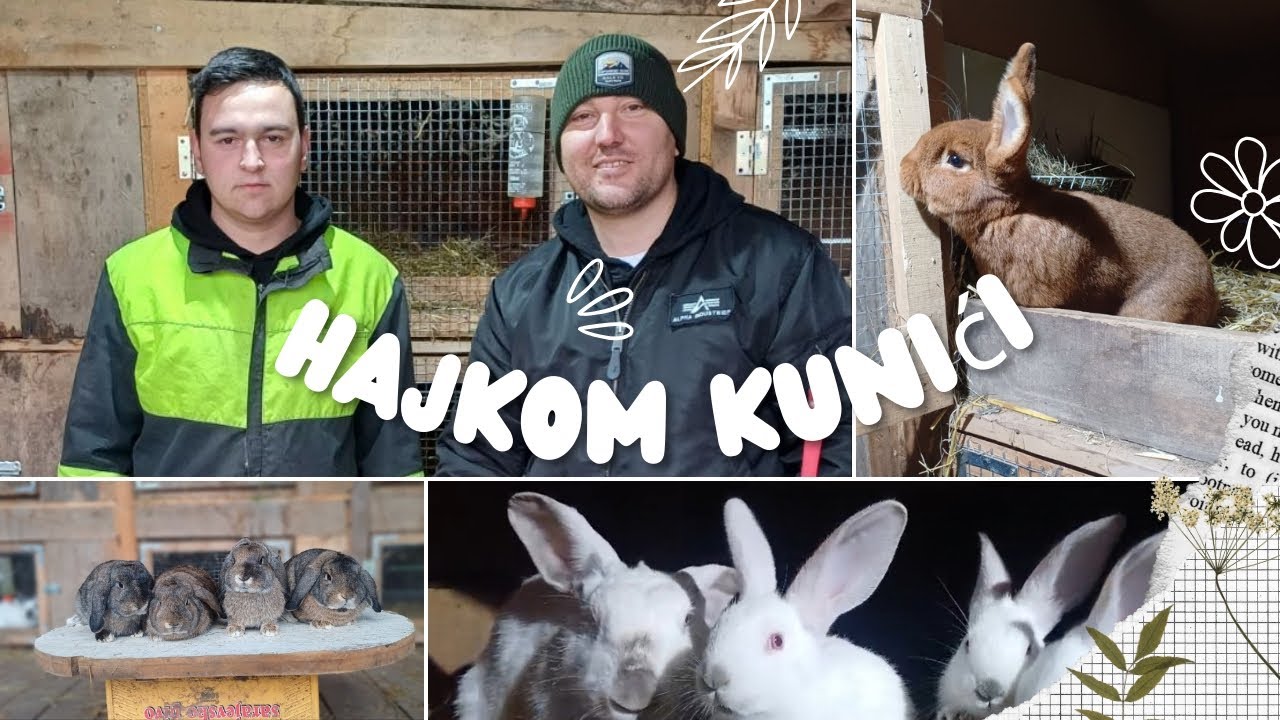 HAJKOM KUNIĆI STIGLI NA FARMU - ČETRI MUŠKA I JEDNA ŽENKA