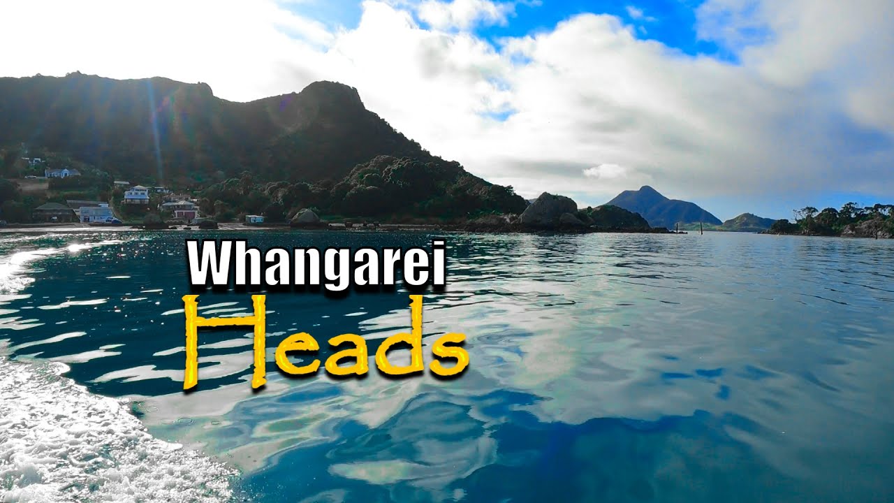 Spearfishing New Zealand Locations // The Whangarei Heads