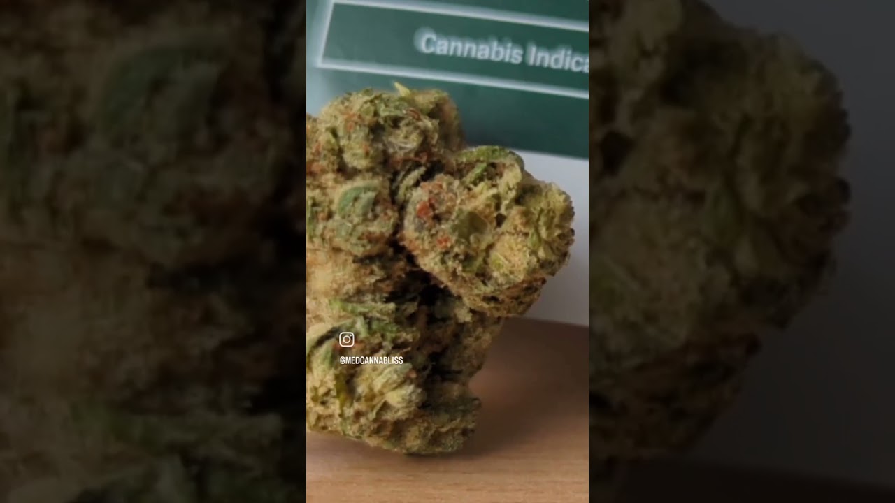 PURE SUNFARMS - JET FUEL GELATO #45&nbsp;(Hybrid)&nbsp;x&nbsp;Hi-Octane&nbsp;(Hybrid)&nbsp;x&nbsp;Jet Fuel&nbsp;(Hybrid)