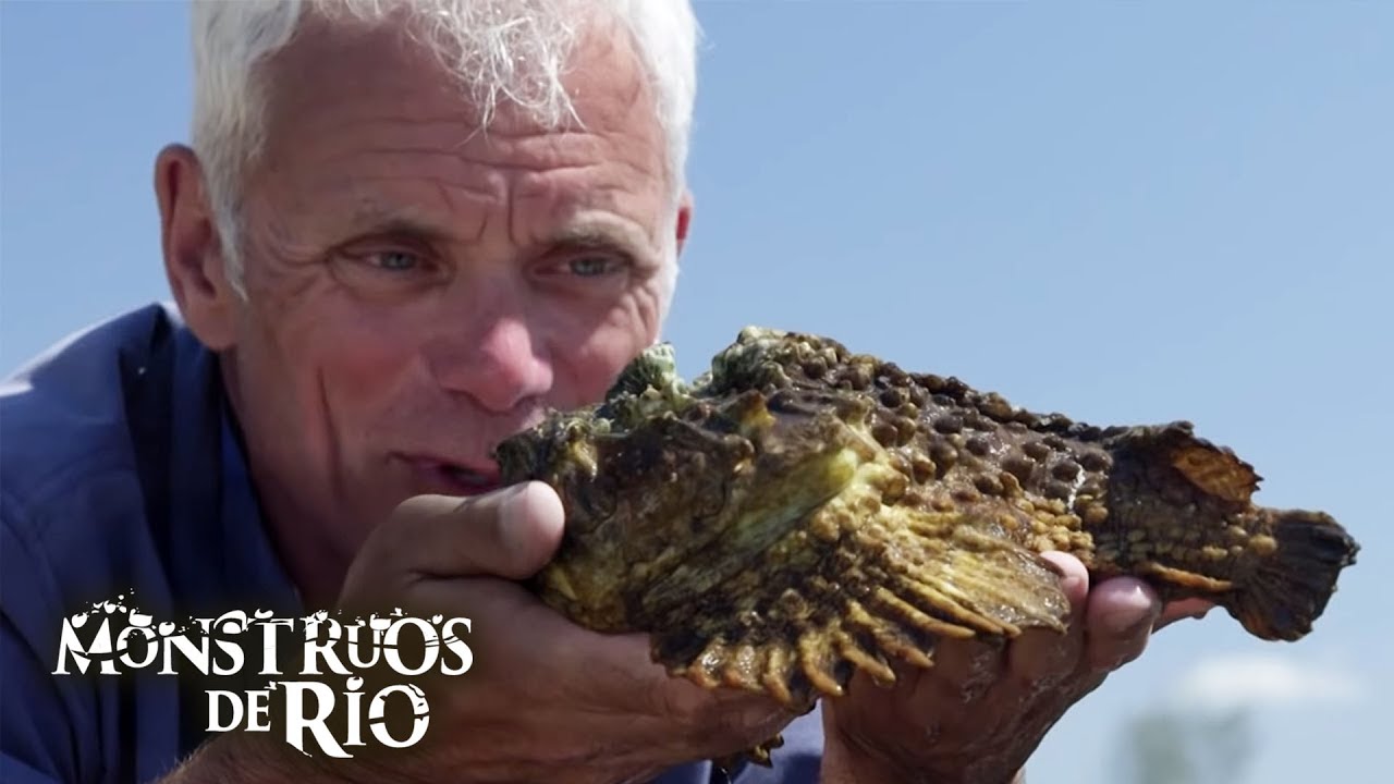 Encuentros Locos Con Peces Que Casi Salen Mal | Monstruos de Río