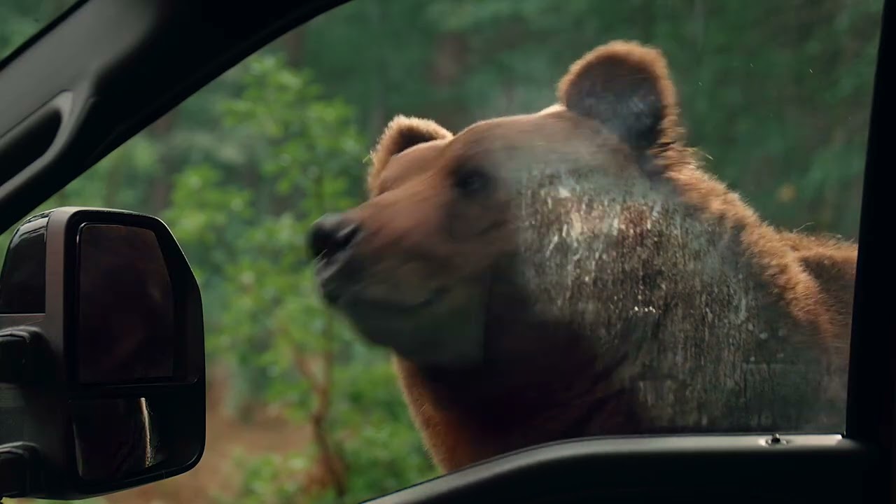 Ford Security Package | Don't get caught off guard.