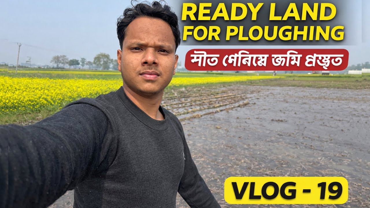 শীতের পর চাষের জন্য জমি প্রস্তুত করা……সষ‍্যের ফুল….মাঠের এক অসাধারণ দৃশ্য…..।।❤️🌾✌️