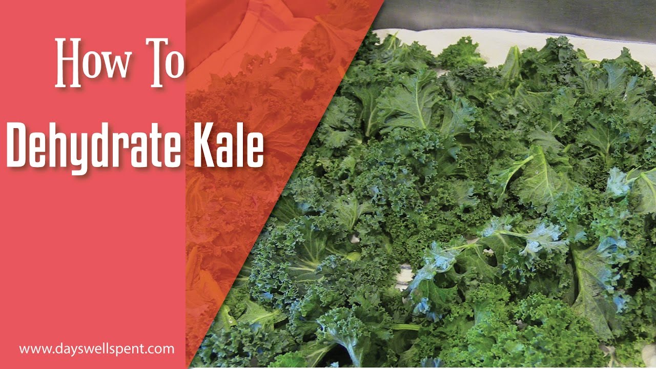 How To Dehydrate Kale Using A Dehydrator