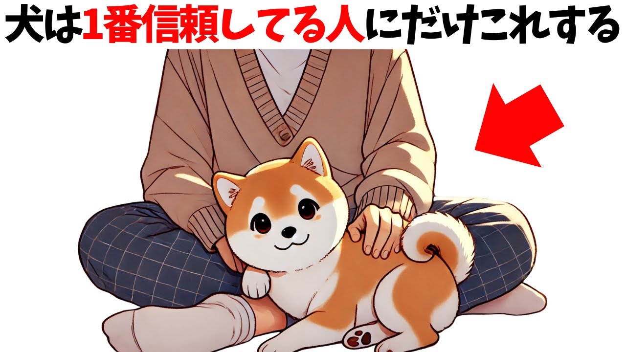 【犬が1番信頼してる人にだけする行動】犬の雑学