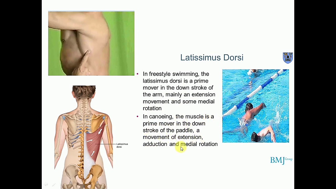 Clinical Anatomy scenario-based problem solving cases : Upper limb-1 - By Dr Mitesh Dave