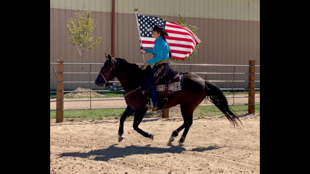 SOLD!!  3 Yr AQHA 14.2h Mare for Ranch Versatility! 4H! Neg 5 Panel