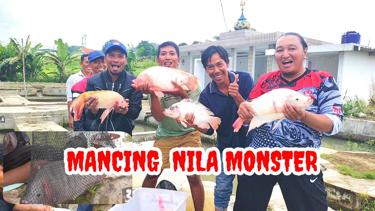 INI BARU NILA BABON | MANCING BORONGAN JAER MONSTER DI BOGOR
