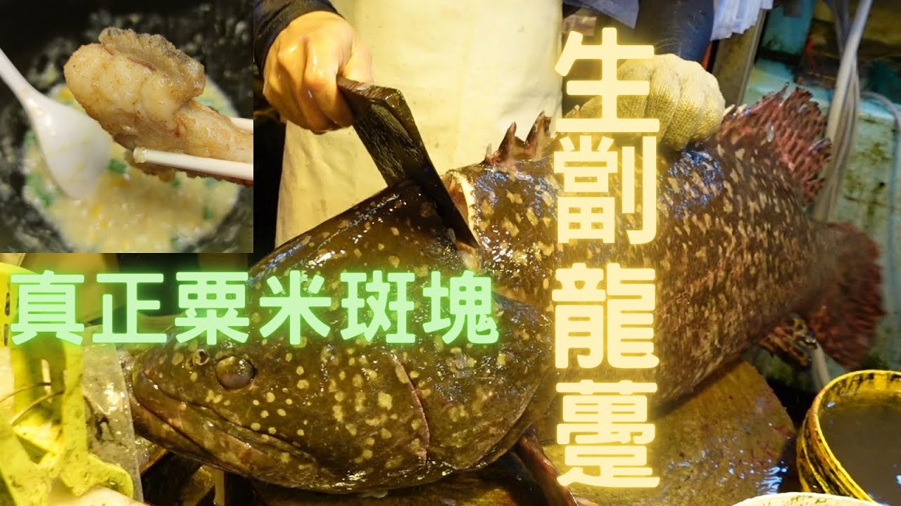 生劏龍躉,教你做粟米斑塊,超級好食😍一定要用新鮮大斑肉至做到呢種味🤤fish cutting 香港海鮮~社長遊街市Hong Kong Seafood Market