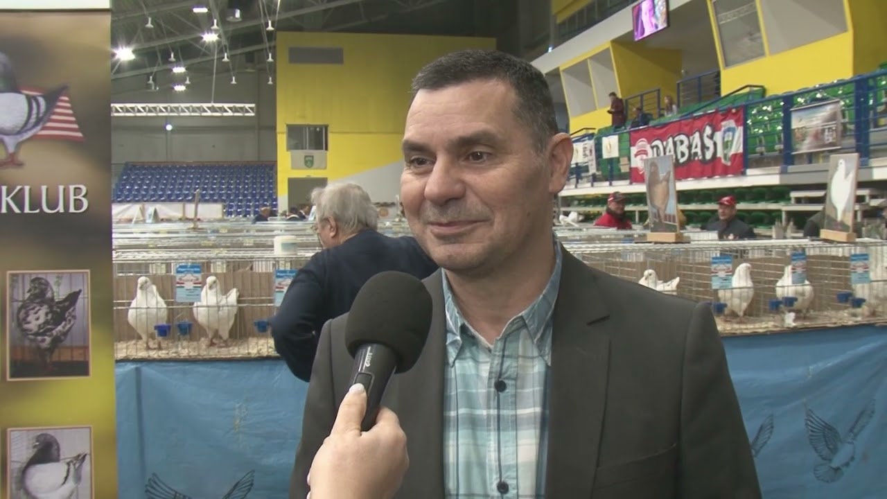 Galambkiállítás 2026 OBO Aréna