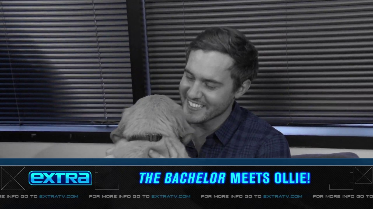 Cute Overload! See Bachelor Peter Weber Meet a Puppy