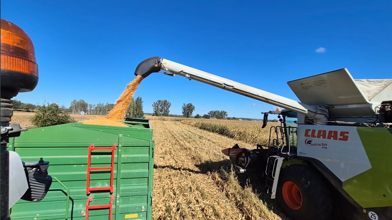 Kukurydza na Piachudrach 🌽 Siew na nowej dzierżawie 🚜