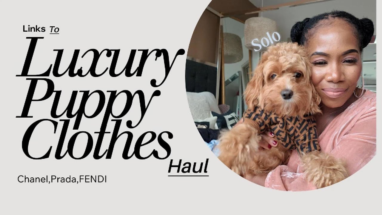 Luxury Dog Fashion Haul | Meet Solo, the Best-Dressed Cockapoo!