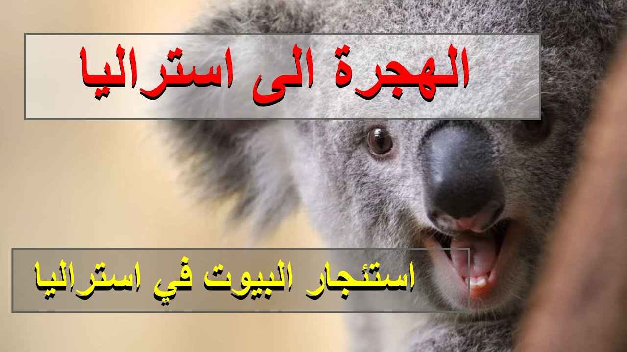 الهجرة الى استراليا | كيف استأجرت أول منزل في استراليا ؟ ... الفلوج رقم 6