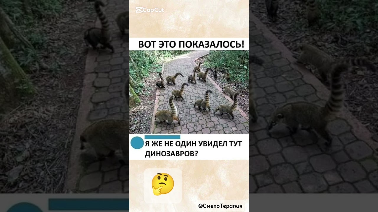 Показалось или, .... 🤔 