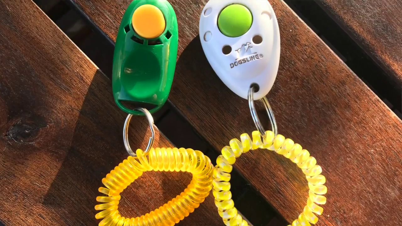 КАК ПОЛЬЗОВАТЬСЯ КЛИКЕРОМ