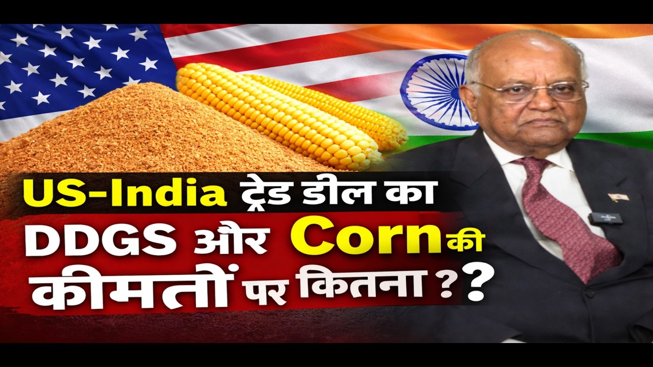 US और India की ट्रेड डील का भारत में DDGS और Corn की कीमतों पर कितना असर ! #tradedeal #DDGS #corn