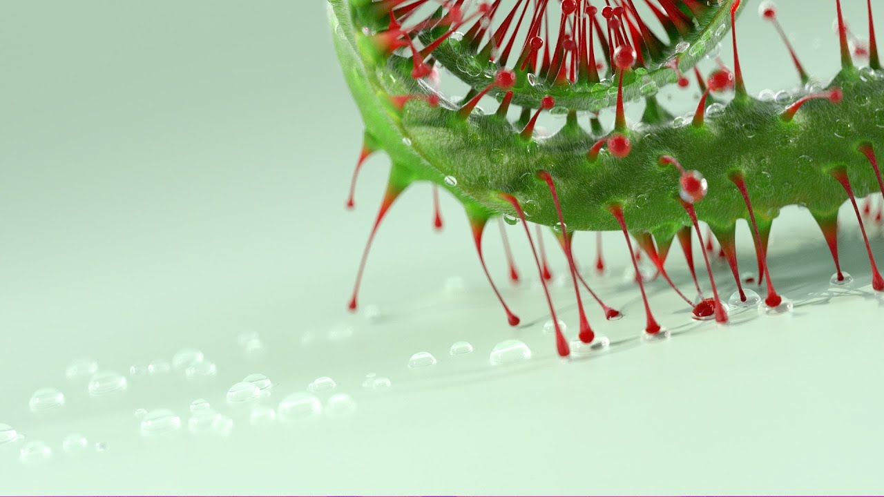 Get Sh** Done :  How to nail Commercial Product Ads | Baked Creative | FMX HIVE 2024