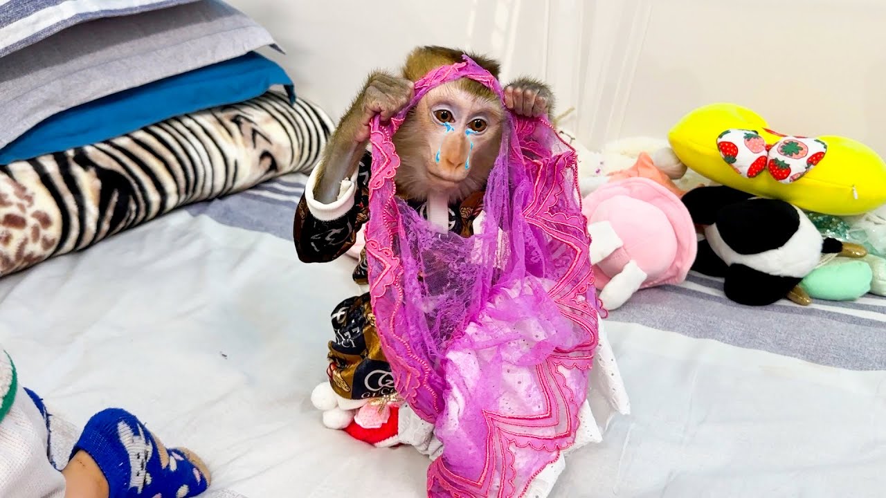 Monkey Kaka is sad because her favorite dress is torn
