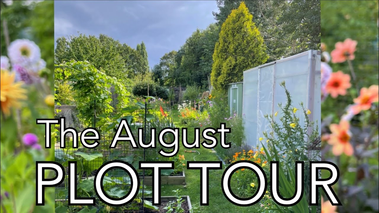 August Plot Tour || Plot 37