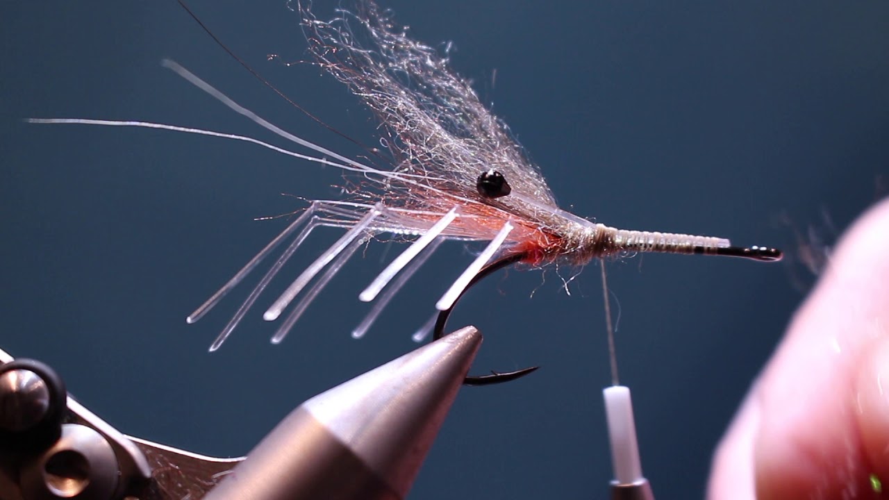 Easy Laser Shrimp 2.0