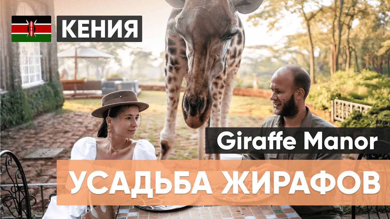Усадьба Жирафов в Кении | Отель Жираф Манор | Hotel Giraffe Manor 5*